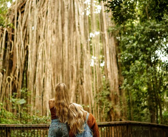 Kuranda Tours Hartleys Crocodile Adventures