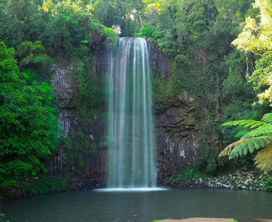 Kuranda Tours Hartleys Crocodile Adventures