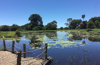 Tarzali Lakes Tour